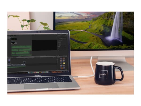 Moshi - DisplayPort-kabel - 24 pin USB-C (hann) til DisplayPort (hann) - Thunderbolt 3 / DisplayPort 1.3 - 1.5 m - 5K-støtte - hvit