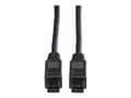 Miniatyrbild 3 av 5: Roline - IEEE 1394-kabel - FireWire 800 (hane) till FireWire 800 (hane) - 1.8 m - svart