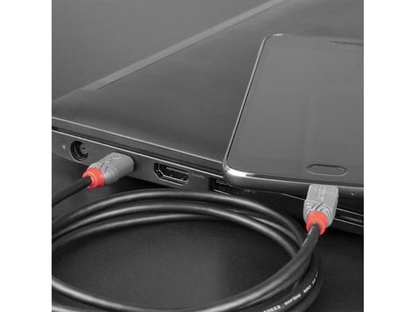 Lindy 36893, 3 m, USB C, Micro-USB B, USB 2.0, 480 Mbit/s, Lajittelu