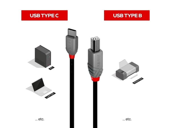 Lindy 36942, 2 m, USB C, USB B, USB 2.0, 0,48 Gbit/s, Svart