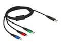 Miniatyrbild 1 av 5: Delock 3 in 1 - Dedikerad laddningskabel - 24 pin USB-C hane till mikro-USB typ B, Lightning, 24 pin USB-C hane - 1 m - svart
