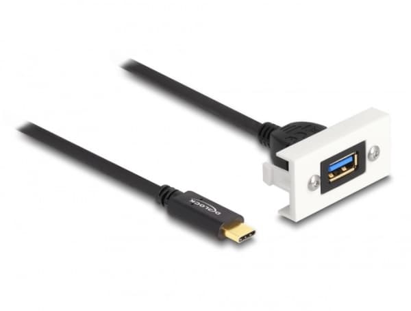 Delock - USB-kabel - USB (hona) till USB-C (hane) - USB 3.2 Gen 2 - 3 A - 1 m - vit, RAL 9003