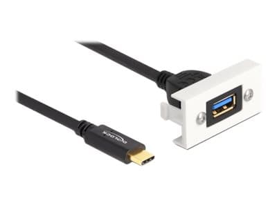 Delock - USB-kabel - USB (hona) till USB-C (hane) - USB 3.2 Gen 2 - 3 A - 1 m - vit, RAL 9003