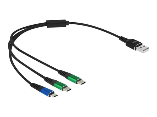 Delock - USB-kabel - USB (kun strøm) (hann) til Micro-USB type B (kun strøm), USB-C (kun strøm) (hann) - 5 V - 3 A - 30 cm - svart