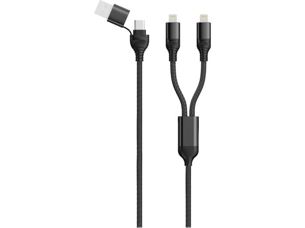 2GO 797365, 1,2 m, USB A/USB C, 2 x USB C, Sort