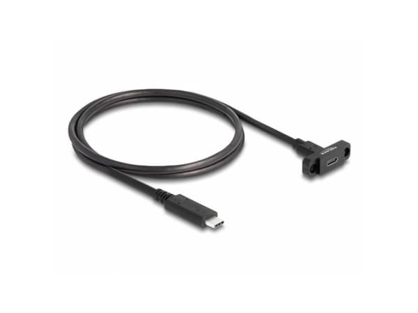 Delock - USB-forlengelseskabel - 24 pin USB-C (hann) til 24 pin USB-C (hunn) panelmonterbar - USB 3.2 Gen 2 - 1 m - svart