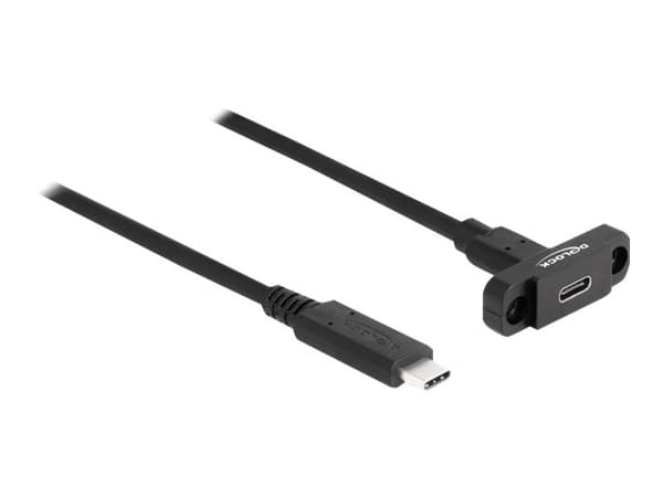 Delock - USB-forlengelseskabel - 24 pin USB-C (hann) til 24 pin USB-C (hunn) panelmonterbar - USB 3.2 Gen 2 - 1 m - svart