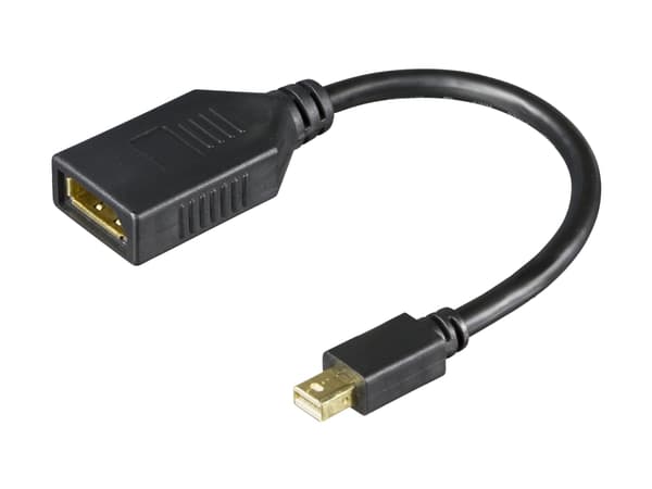 DELTACO - DisplayPort-adapter - Mini DisplayPort (hann) til DisplayPort (hunn) - 20 cm - 1920 x 1080 at 240 Hz support, 4K75Hz (3840 x 2160) support,