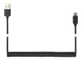 Miniatyrbild 3 av 5: Cablexpert - USB-kabel - USB (hane) till 24 pin USB-C (hane) - USB 2.0 - 1.8 m - formpressad, lindad, guldpläterade kontakter - svart