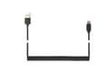 Miniatyrbild 4 av 5: Cablexpert - USB-kabel - USB (hane) till 24 pin USB-C (hane) - USB 2.0 - 1.8 m - formpressad, lindad, guldpläterade kontakter - svart