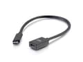 Miniatyrbilde 4 av 5: C2G 1ft USB-C to C 3.1 (Gen 2) Male to Female Extension Cable (10Gbps) - USB-forlengelseskabel - 24 pin USB-C (hann) til 24 pin USB-C (hunn) - USB 3.
