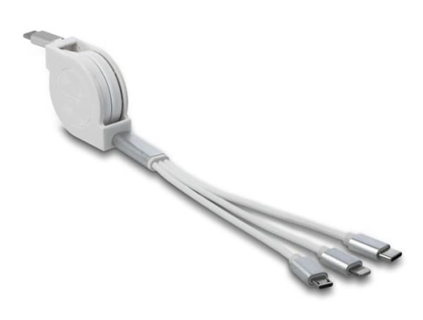 DeLOCK 85844, 0,98 m, Micro-USB B, 2 x Micro-USB B/Lightning, USB 2.0, Hopea, Valkoinen
