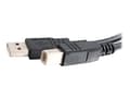 Pikkukuva 1 / 4: C2G 2m USB-kaapeli - USB A - USB B-kaapeli - M/M - USB-kaapeli - USB (han) til USB Type B (han) - USB 2.0 - 2 m - lajiteltu