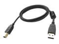 Miniatyrbild 3 av 5: Vision Professional - USB-kabel - USB (hane) till USB typ B (hane) - USB 2.0 - 5 m - svart