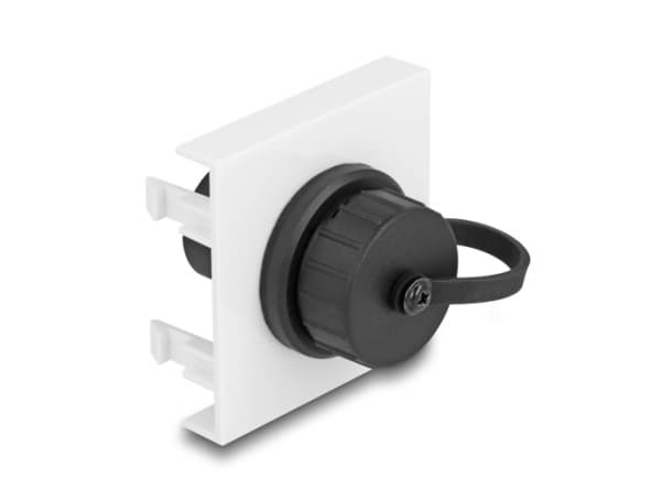 Delock - Easy 45 - trykklåsmodul - SuperSpeed 5 Gbps (3.2 Gen 1) Type-A female, 45 x 45 mm - USB - svart, hvit, RAL 9003