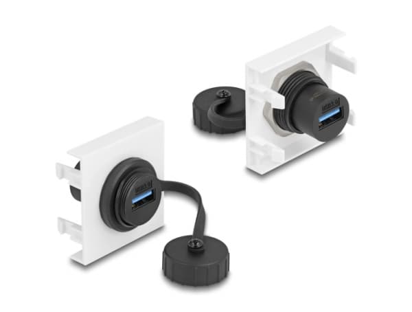 Delock - Easy 45 - trykklåsmodul - SuperSpeed 5 Gbps (3.2 Gen 1) Type-A female, 45 x 45 mm - USB - svart, hvit, RAL 9003