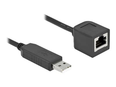 Delock - Seriell adapter - USB (hane) till RJ-45 (hona) - 25 cm - USB / USB 2.0 / EIA-232 - svart