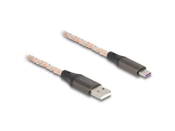 Delock - USB-kabel - USB (hane) till 24 pin USB-C (hane) - USB 2.0 - 5 V - 3 A - 1 m - RGB-belysning - transparent, kopparfärgad
