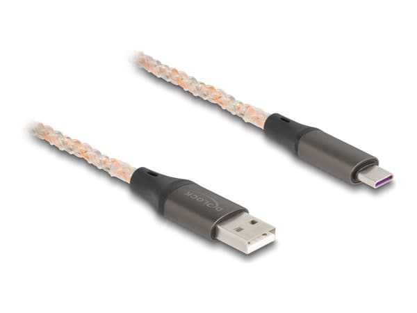 Delock - USB-kabel - USB (hane) till 24 pin USB-C (hane) - USB 2.0 - 5 V - 3 A - 1 m - RGB-belysning - transparent, kopparfärgad