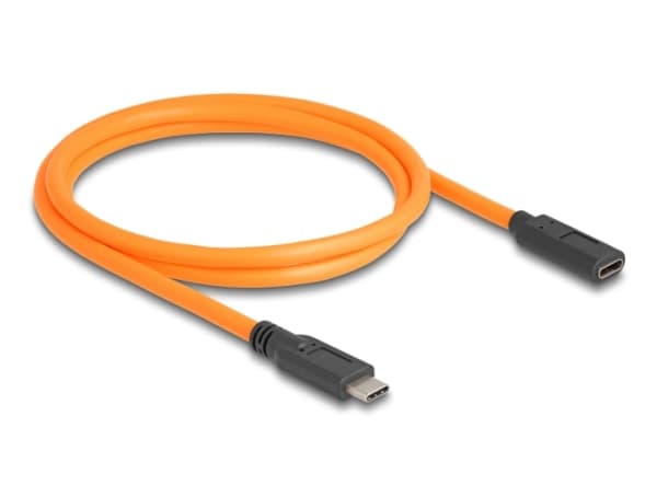 Delock - USB-kabel - 24 pin USB-C (hann) til 24 pin USB-C (hunn) - 20 V - 5 A - 1 m - up to 5 Gbps data transfer rate - oransje