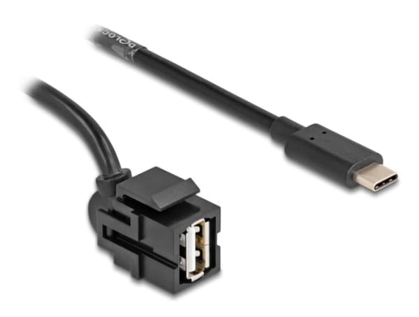 Delock - USB-kabel - 24 stift USB-C (han) till USB (hun) vinklet - USB 2.0 - 0,5 m - sorterad