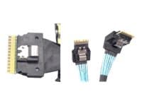 Intel - Tallennuskaapelisarja - Slim SAS (SFF-8654) - 2x4 Slim SAS (SFF-8654) - 2x4 Slim SAS (SFF-8654)