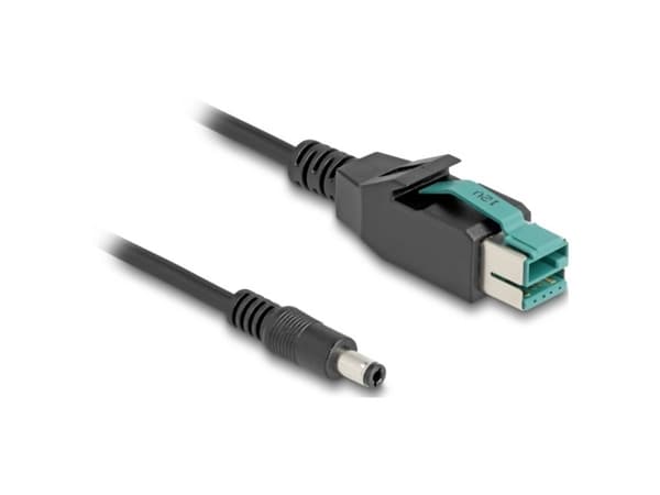 Delock - Strømforsynt USB-kabel - USB PlusPower (12 V) (hann) til 5,5 x 2,5 mm DC-jakk (hann) - 12 V - 1 m - svart
