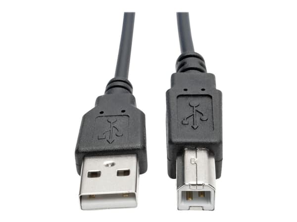 Eaton Tripp Lite Series USB 2.0 A to B Coiled Cable (M/M), 10 ft. (3.05 m) - USB-kaapeli - USB (han) til USB Type B (han) - USB 2.0 - 3.1 m - snoet,