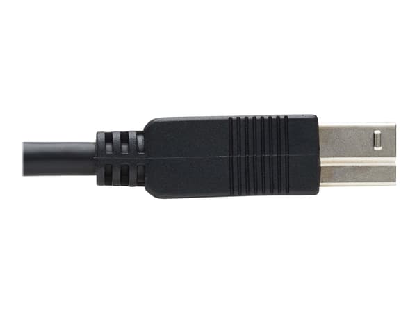 Eaton Tripp Lite Series USB 3.2 Gen 1 Plenum-Rated Fiber Active Optical Cable (AOC) - A/B M/M, Black, 20 m - USB-kabel - USB-type A (hann) til USB Ty