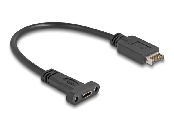 Delock USB 10 Gbps-kabel USB Type-E-nøkkel En 20-pinners hann til USB Type-C hunn for installasjon 25 cm