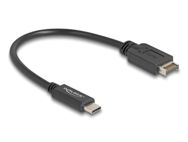 Delock - USB-kabel - 20 pin Key A (hane) till 24 pin USB-C (hane) - USB 3.2 Gen 2 - 25 cm