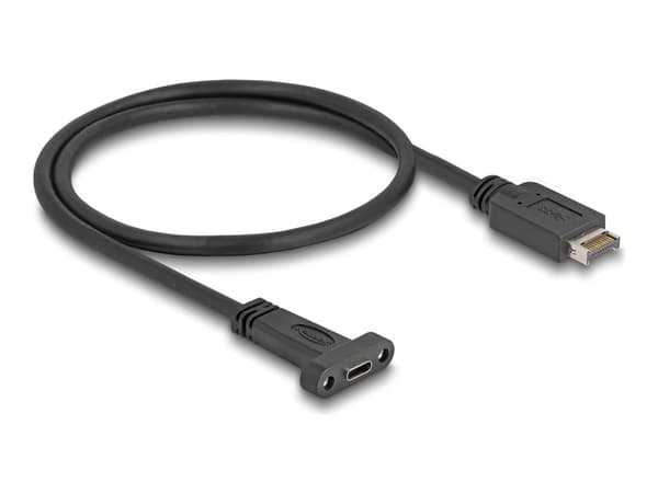 Delock - USB-adapterkabel - 20 pin USB Typ E (hane) Nyckel A till 24 pin USB-C (hona) kan monteras på panel - 5 V - 1.5 A - 50 cm - upp till 10 Gbps