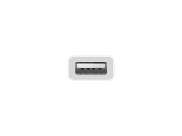 Apple - USB-adapter - 24 pin USB-C (hane) till USB typ A (hona) - Thunderbolt 3