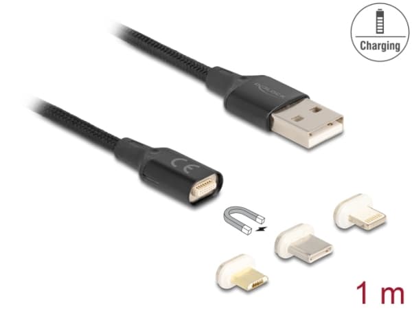 Delock - Sats med USB-laddningsadapter - USB (hane) till Lightning, mikro-USB typ B, 24 pin USB-C (hane) magnetisk - USB 2.0 - 5 V - 3 A - 1 m - svar