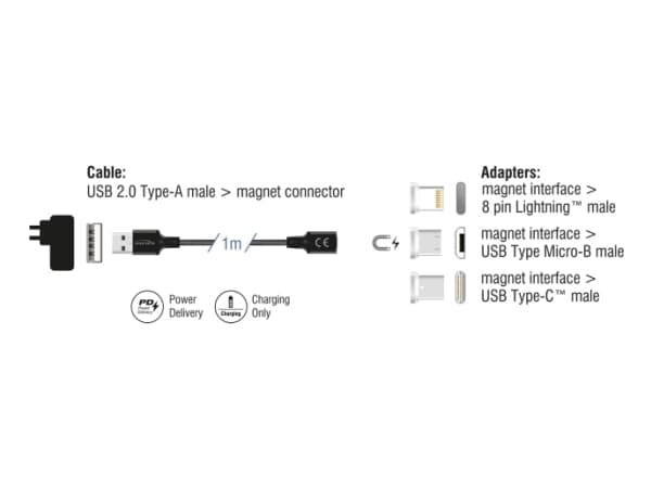 Delock - Sats med USB-laddningsadapter - USB (hane) till Lightning, mikro-USB typ B, 24 pin USB-C (hane) magnetisk - USB 2.0 - 5 V - 3 A - 1 m - svar