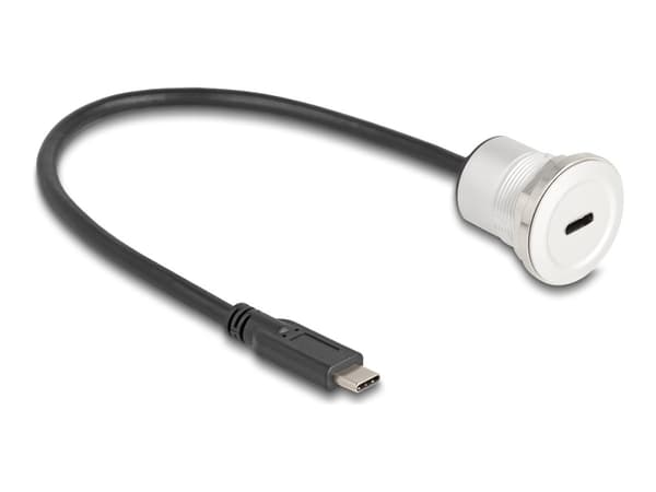 Delock - USB-förlängningskabel - 24 pin USB-C (hane) till 24 pin USB-C (hona) kan monteras på panel - 30 cm - M22-gänga - svart, silver