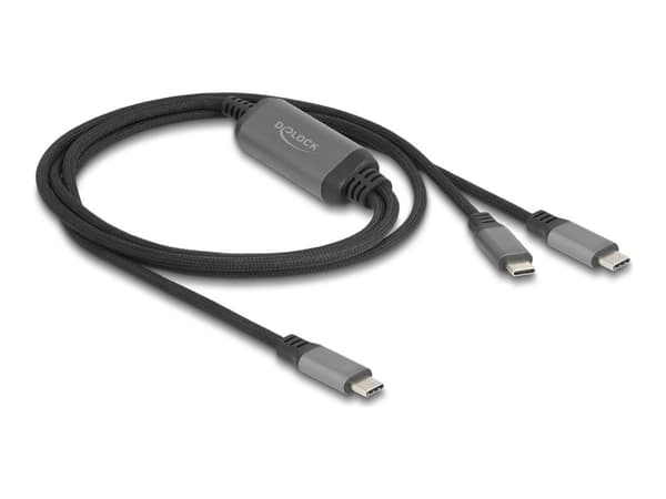 Delock - USB-kabel - 24 pin USB-C (hane) till 24 pin USB-C (hane) - 20 V - 5 A - 1.2 m - endast laddning, Stöd för Power Delivery 3.0, USB-strömförsö