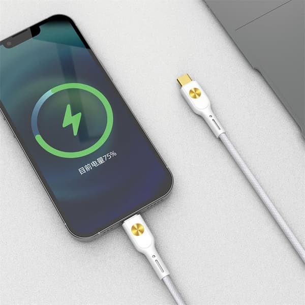 WIWU USB-C Till Lightning 1.2m Kabel 30W City - Vit
