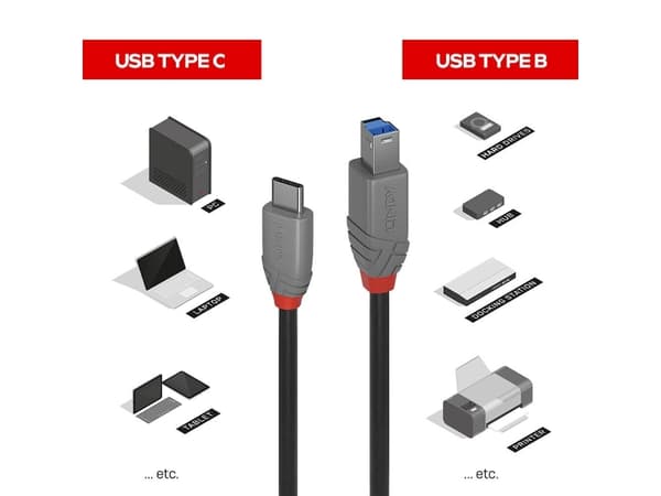 Lindy 36666, 1 m, USB C, USB B, USB 3.2 Gen 1 (3.1 Gen 1), 500 Mbit/s, Lajittelu