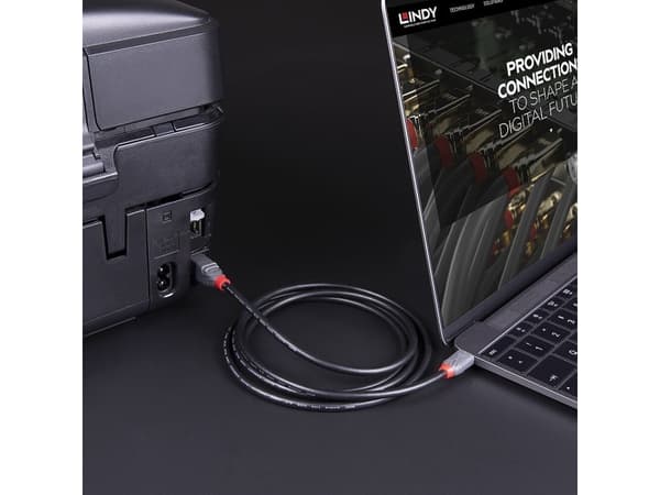 Lindy 36666, 1 m, USB C, USB B, USB 3.2 Gen 1 (3.1 Gen 1), 500 Mbit/s, Lajittelu