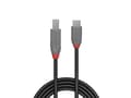 Pikkukuva 2 / 5: Lindy 36666, 1 m, USB C, USB B, USB 3.2 Gen 1 (3.1 Gen 1), 500 Mbit/s, Lajittelu