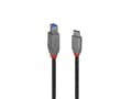 Pikkukuva 1 / 5: Lindy 36666, 1 m, USB C, USB B, USB 3.2 Gen 1 (3.1 Gen 1), 500 Mbit/s, Lajittelu