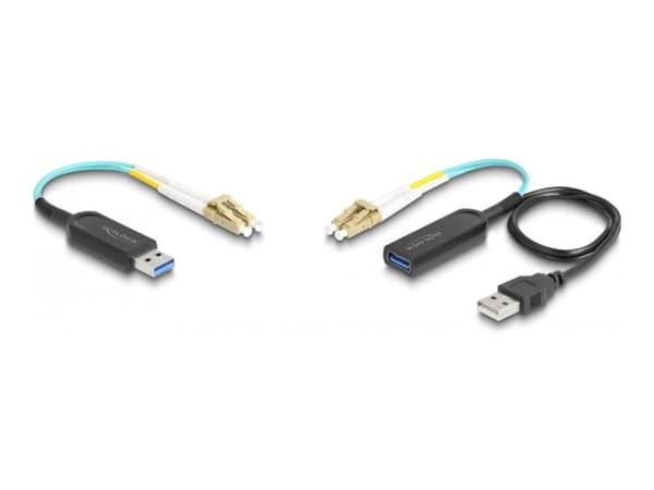 Delock - USB-jatkojohto - vastaanotin - jopa 100 m:iin asti