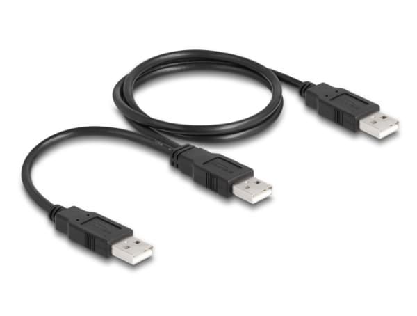 Delock - USB-kabel - USB (hane) till USB (hane) - USB 2.0 - 70 cm - svart