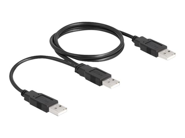 Delock - USB-kabel - USB (hane) till USB (hane) - USB 2.0 - 70 cm - svart