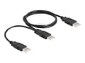 Miniatyrbild 1 av 2: Delock - USB-kabel - USB (hane) till USB (hane) - USB 2.0 - 70 cm - svart