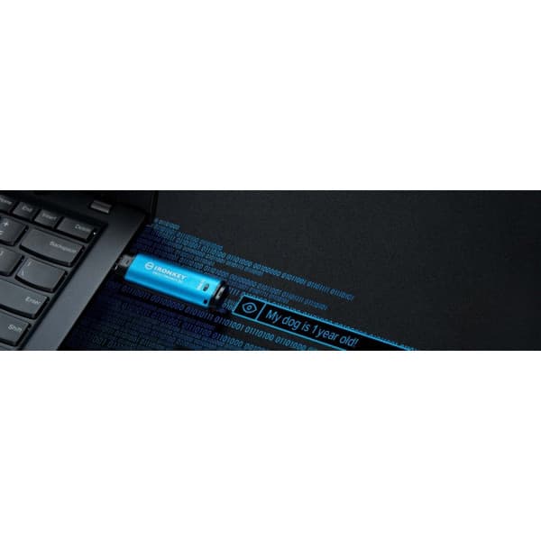 Kingston IronKey Vault Privacy 50 128 Gt USB-minne