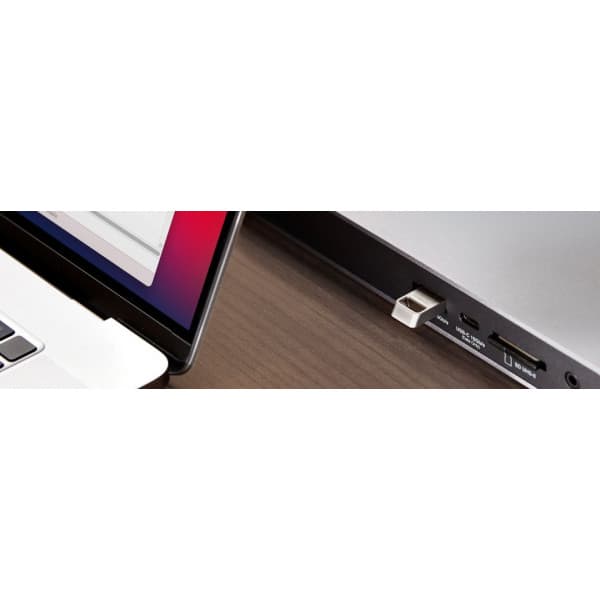 Kingston DataTraveler Micro 256 GB USBhukommelsesstick