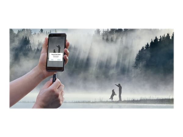 SanDisk Ultra Dual Drive Go - USB flashdrive - 32 GB - USB 3.1 Gen 1 / USB-C