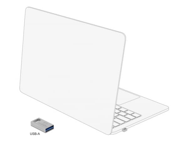 Delock - USB flash-enhet - 16 GB - USB 3.2 Gen 1